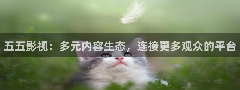 金牌電視：五五影視：多元內容生態，連接更多觀眾的平臺